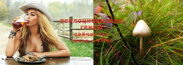 кокаин Арсеньев