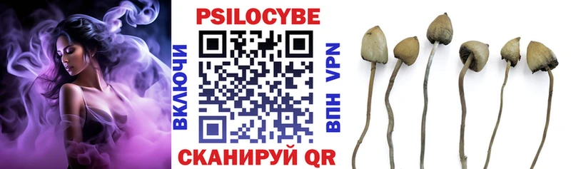 Галлюциногенные грибы ЛСД  Краснослободск 